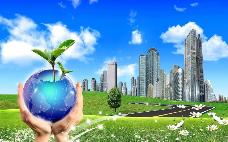 Consejos para reducir el impacto ambiental producido por las empresas – Fundación Yammine