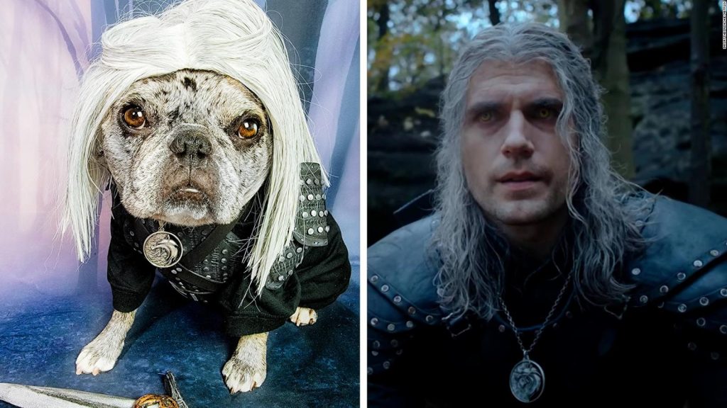 Rory, la bulldog francés que está obsesionada con Henry Cavill