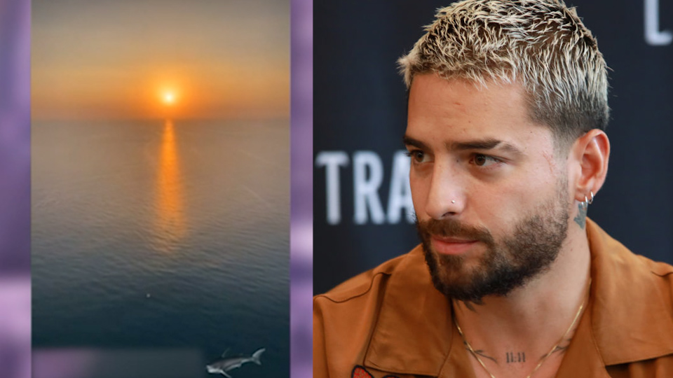 Maluma graba dos tiburones que le impidieron entrar al mar