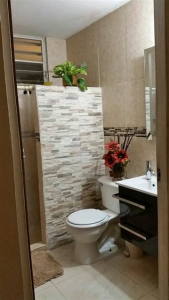 Guía para la remodelación de baños pequeños por Nelson Rafael Bustamante Abidar