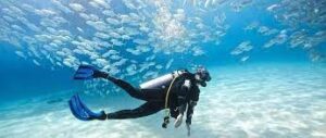 Consejos para planificar un viaje de turismo de aventura en Los Roques Imagen4 1 300x127 - Consejos para planificar un viaje de turismo de aventura en Los Roques