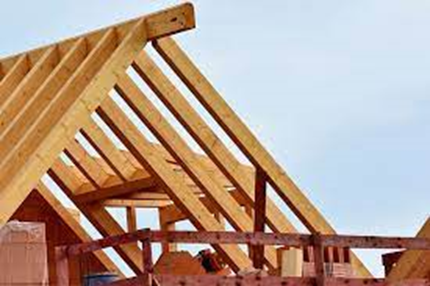 Camilo Ibrahim Issa - 5 grandes mitos sobre la construcci&oacute;n con madera
