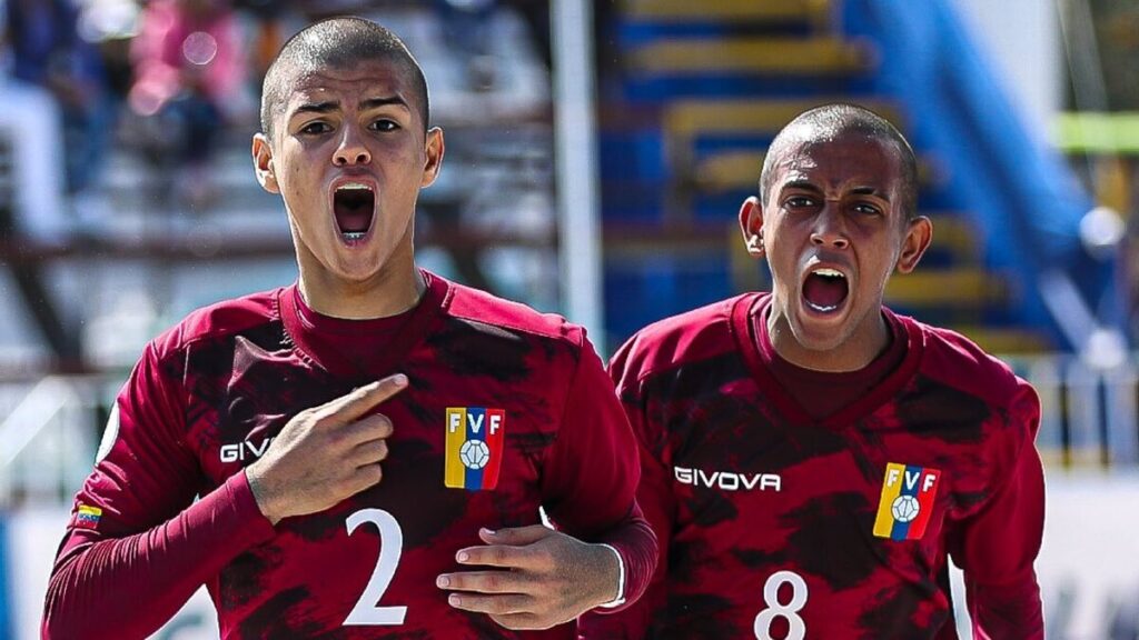 Vinotinto