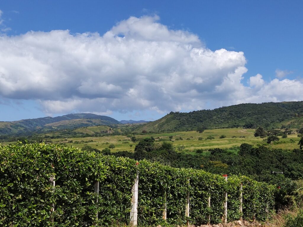 Yaracuy destaca sus potencialidades como destino turístico