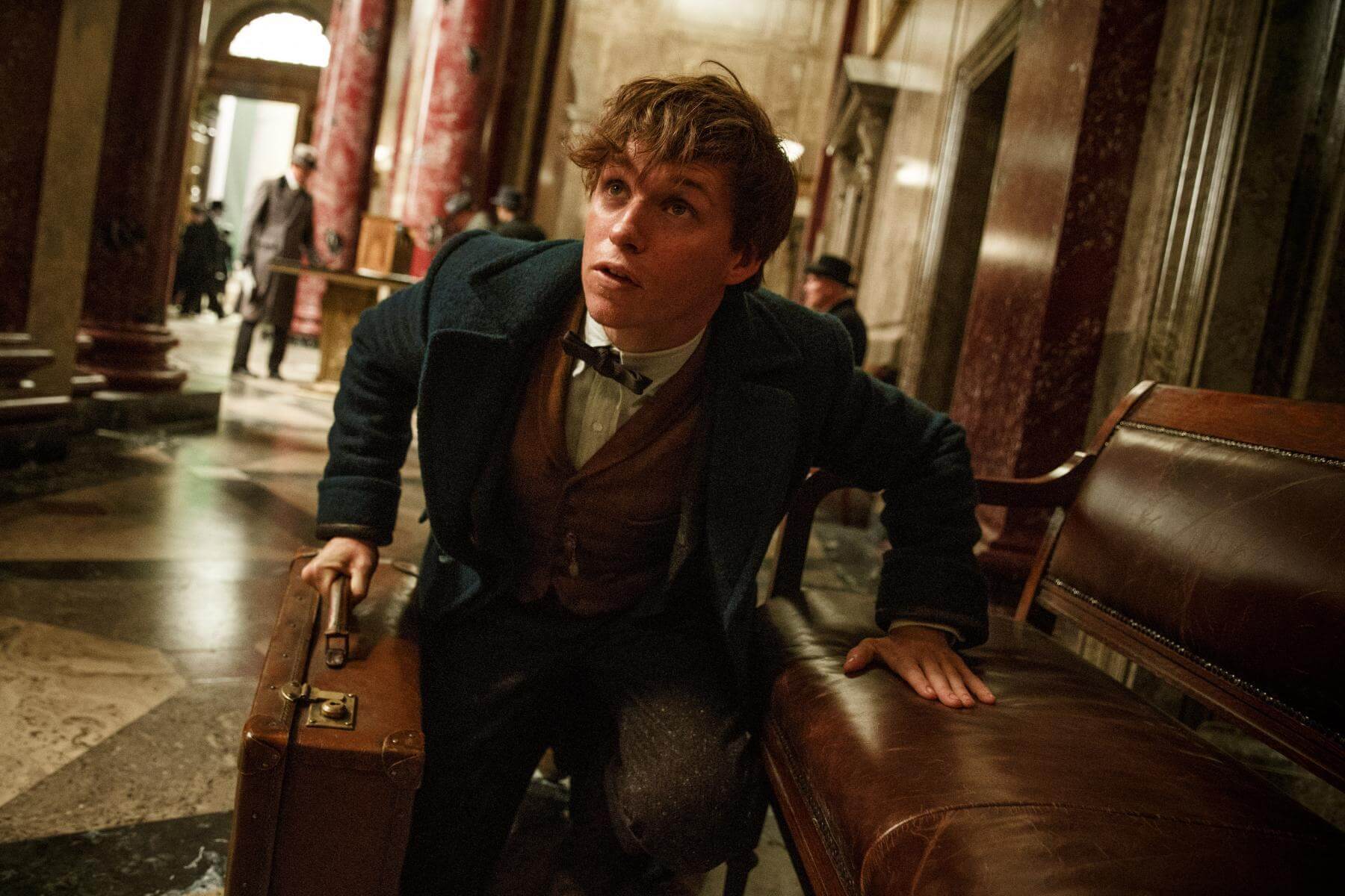 Eddie Redmayne en Animales fantásticos y dónde encontrarlos