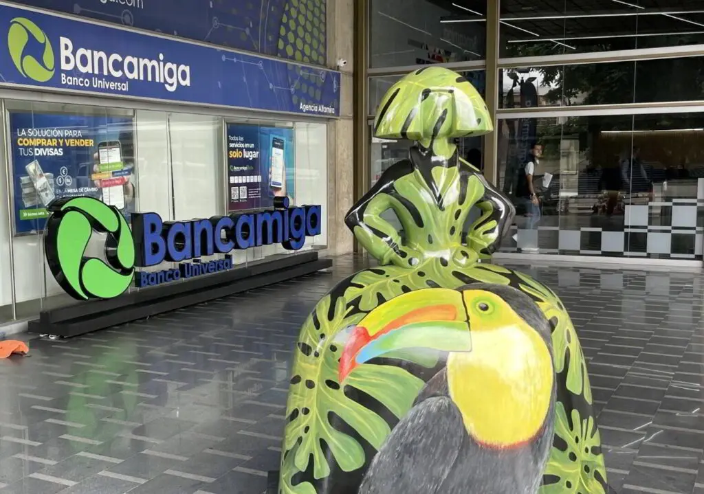 Bancamiga Meninas ES y BFN