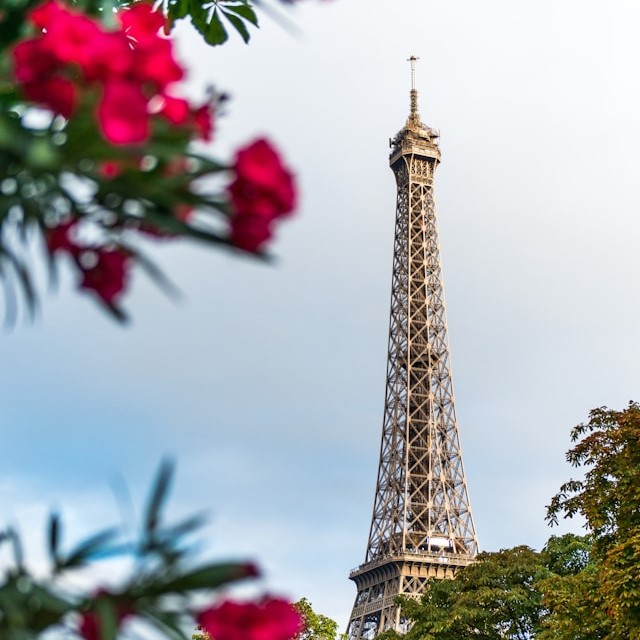 jacob-peters-lehm-L53YebBmLkM-unsplash