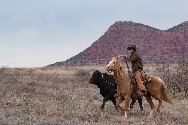 cowboy