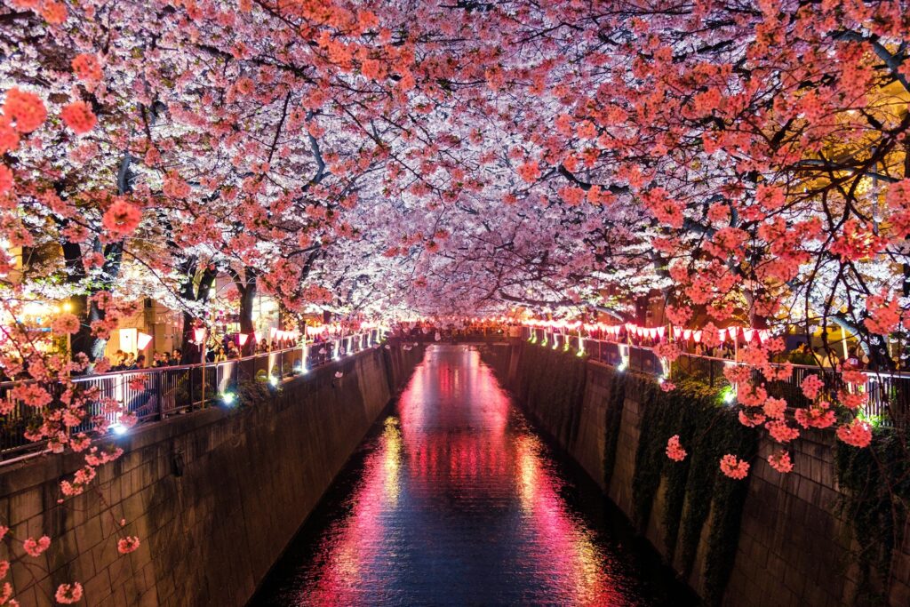 Japón recibió cerca de 3 millones de turistas en agosto