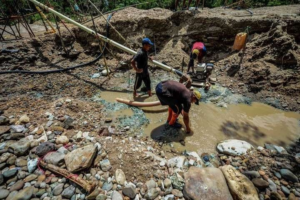 El Impacto de la Minería Ilegal en la Ecología Venezolana