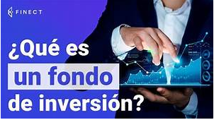 Luis Alberto Pérez González | ¿Qué es un Fondo de Inversión y Cómo Funciona?