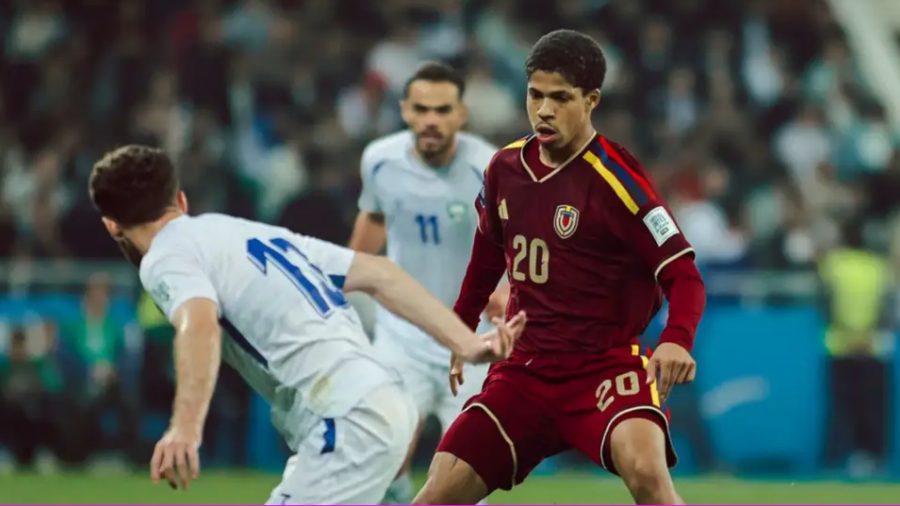 Vinotinto - FVF