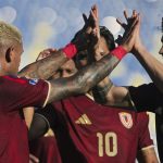 FVF - Vinotinto