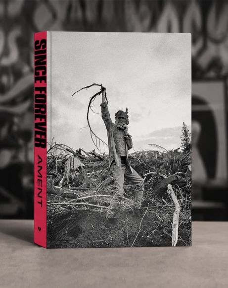 pearl jam jeff ament photo book since forever cover