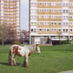 Westside Cowboy – It Goes On | Crítica