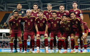 Vinotinto