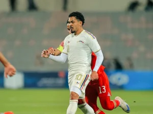 Vinotinto