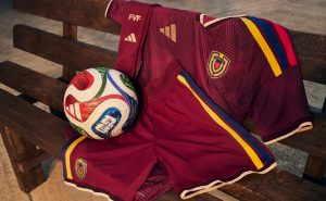 Vinotinto - Archivo - FVF